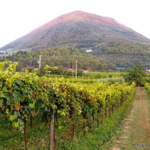 Monte Acero a Faicchio all’inizio del mattino-1