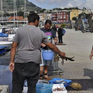 Porto di Pozzuoli