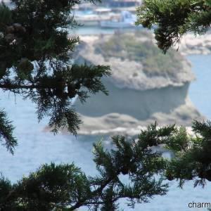 lacco ameno da monte vico fungo