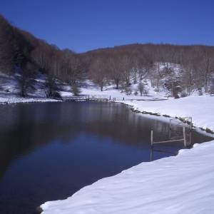 Acqua della madonna-Montella