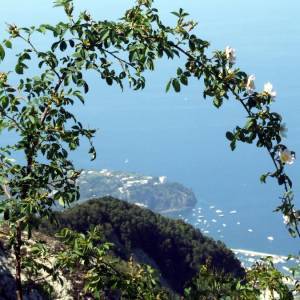 Ischia vista dal monte Epomeo