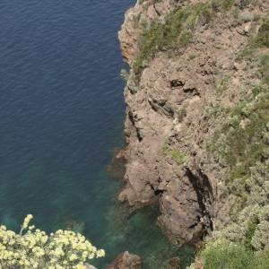 A Lacco Ameno, una veduta dal Parco del  Monte Vico