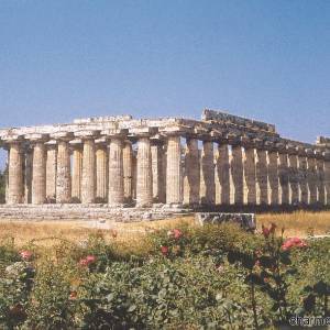 Il Tempio di Hera a Paestum