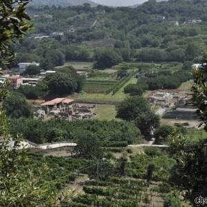 Città bassa, scavi di Cuma