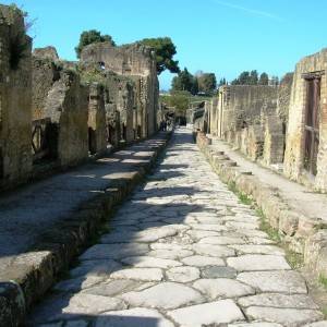 Ercolano, uno dei cardi