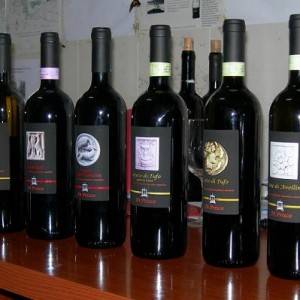 Bottiglie di vino prodotto in Irpinia