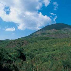 Parco nazionale del Vesuvio