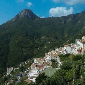 Albori e Monte Falerzio