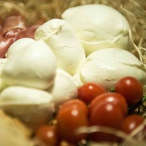 mozzarella provola treccia campane caseificio ponte a mare