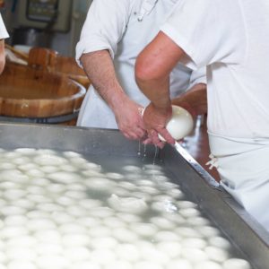 mozzarella campana premiata da Gambero Rosso Castelvoltuno