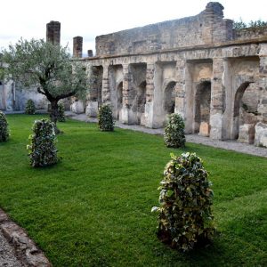 Pompei_casa_ancora_1